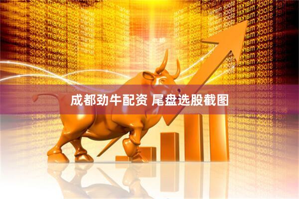 成都劲牛配资 尾盘选股截图